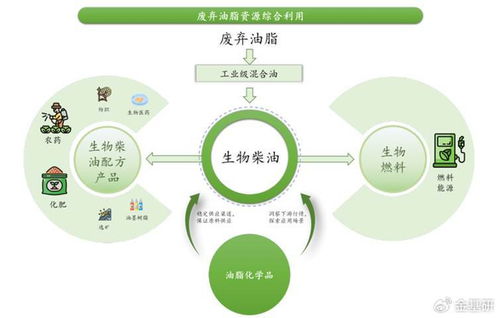 豐倍生物 技術創(chuàng)新驅動綠色全產(chǎn)業(yè)鏈，生物柴油市占率領先