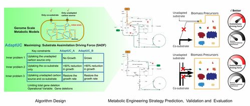 中國科學院天津工業(yè)生物技術研究所推動生物技術開發(fā)與應用