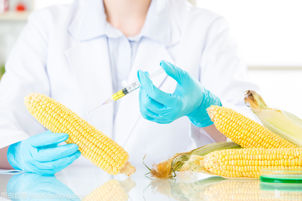 基因改造食品的生物技術開發(fā)及其在實驗室中的前沿探索